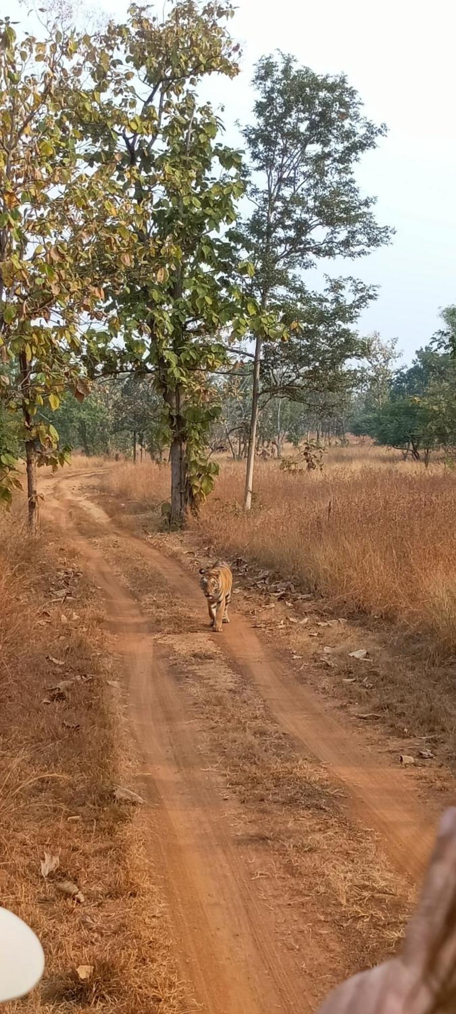 Namaste Homestay Khajurāho Buitenkant foto