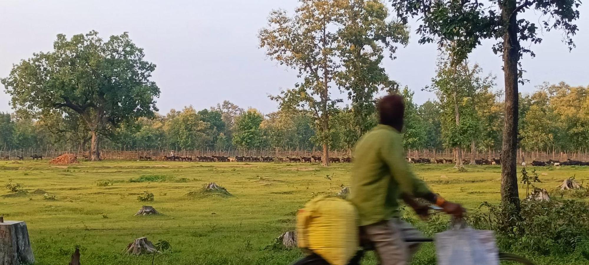 Namaste Homestay Khajurāho Buitenkant foto