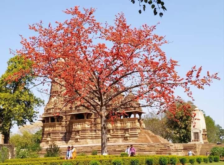 Namaste Homestay Khajurāho Buitenkant foto